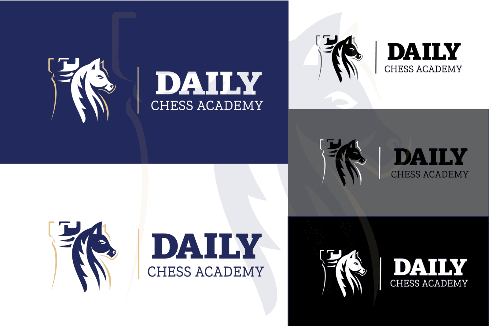 Daily Chess Academy Logo